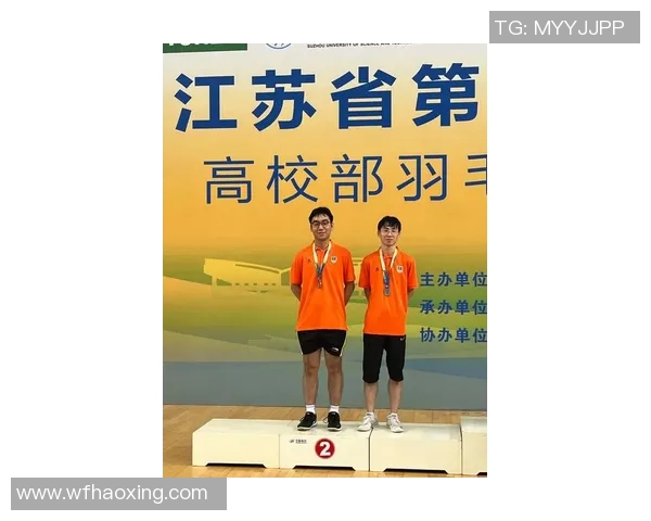 深度分析成都羽毛球队的盯防战术及其在比赛中的应用效果